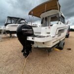 Ispiranje motora Mercuru