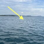 Danger while driving