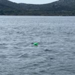 Neočekivana opasnost na moru